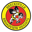 Berea-Midpark High School Football opponent logo